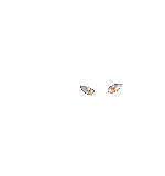 31.gif